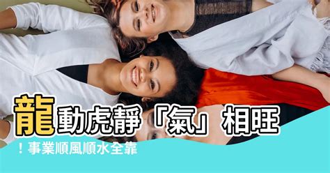 龍怕臭虎怕吵辦公室|辦公室好風水，不求人！